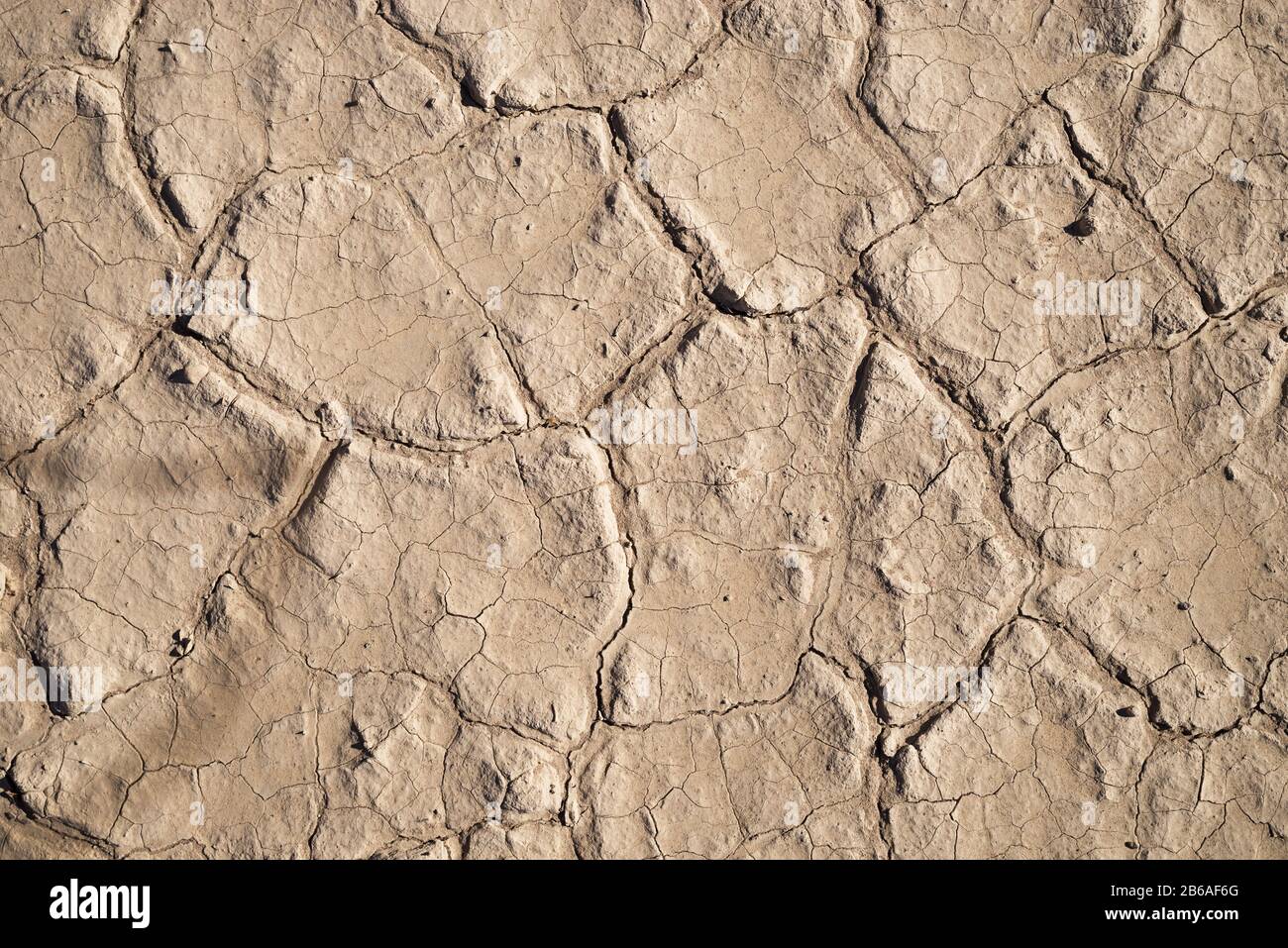 dry mudcracked ground in the Mojave Desert Stock Photo Alamy