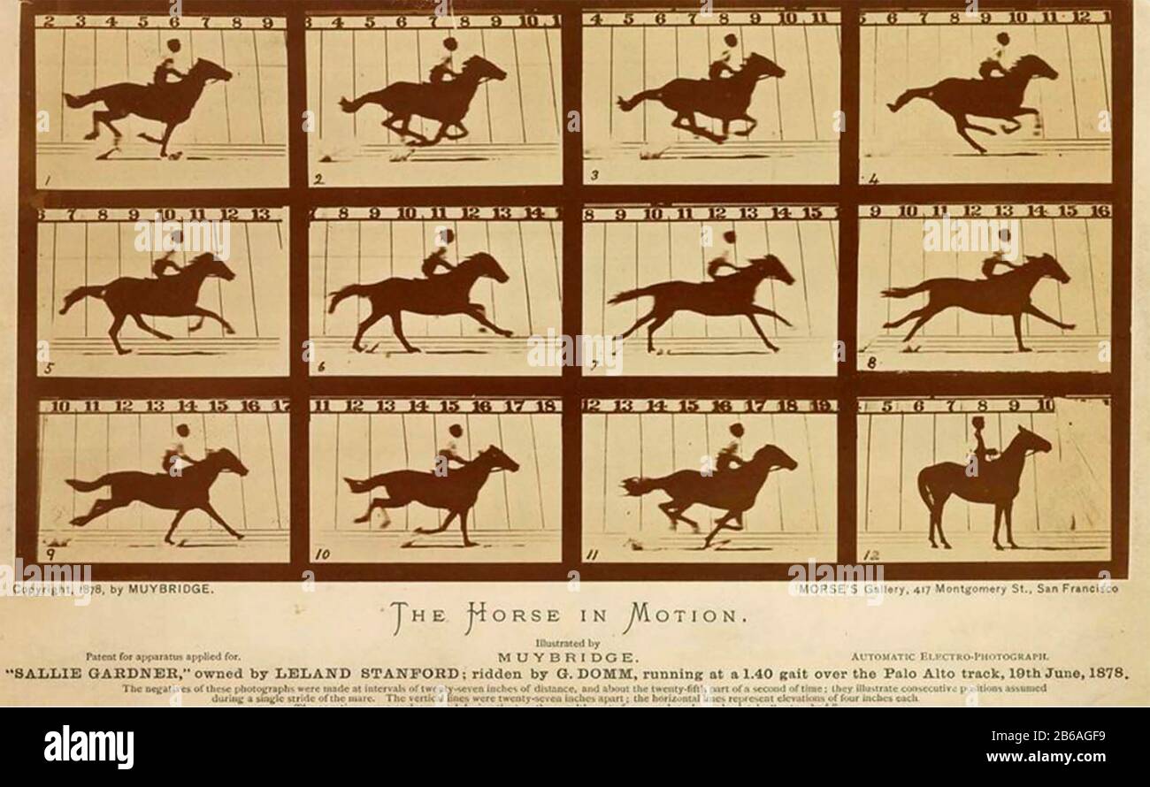 EADWEARD MUYBRIDGE (1830-1904) Anglo-American photographer. 'Sallie Gardner' one of his 'Horse in Motion' series shows the racehorse on the Palo Alto racetrack on 19 June 1878 Stock Photo