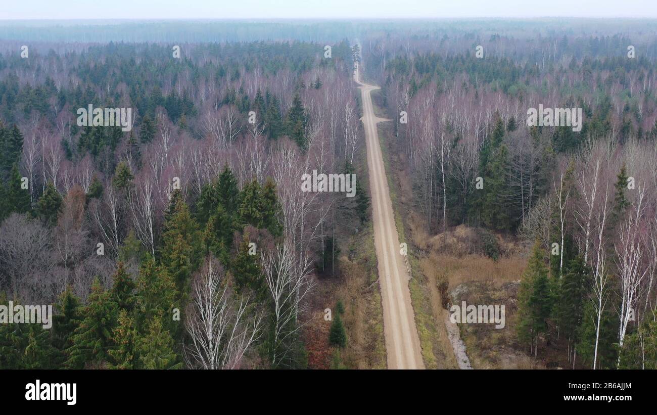 Aerial view of misty forest and gravel road Stock Photo - Alamy