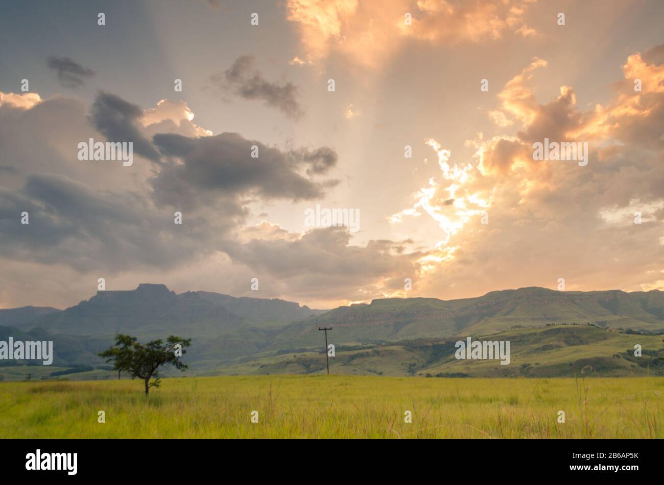 A panoramic of Champagne Castle mountain and surrounding hills with a grassy foreground and colorful sunset in central Drakensberg, near Winterton, Kw Stock Photo