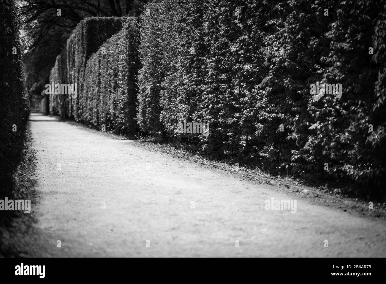labyrinth road close up view Stock Photo