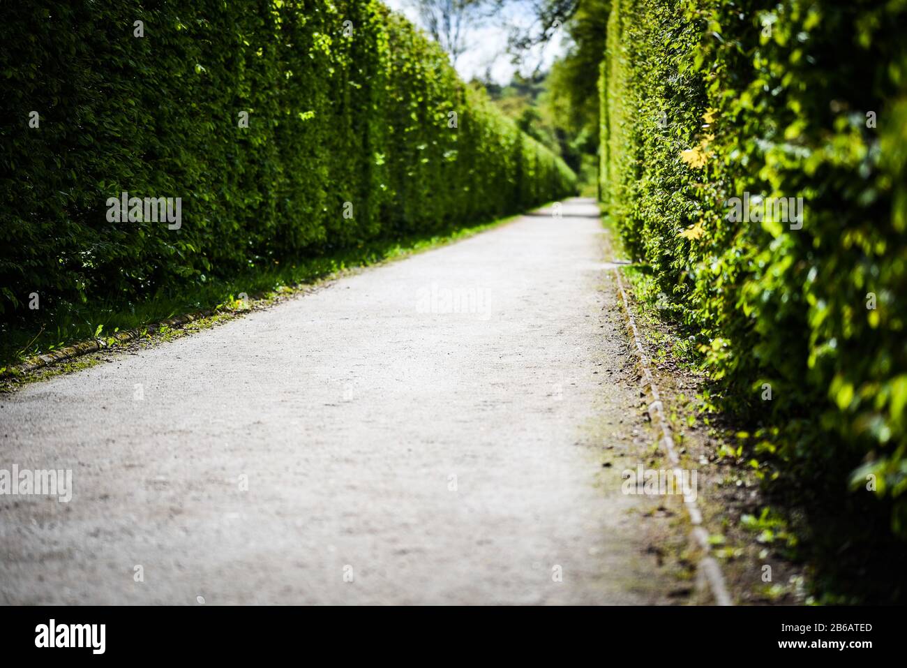 labyrinth road close up view Stock Photo
