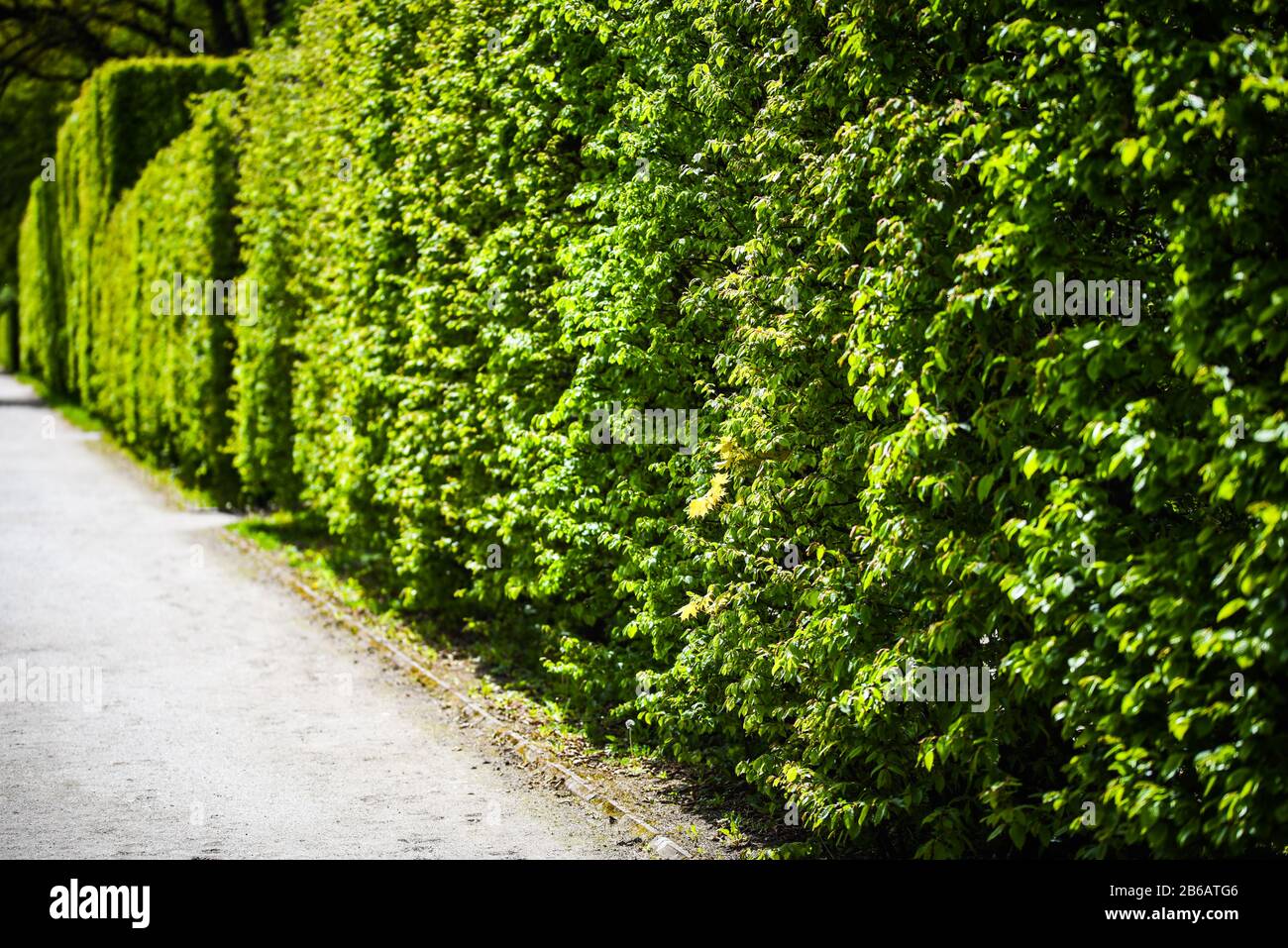 labyrinth road close up view Stock Photo