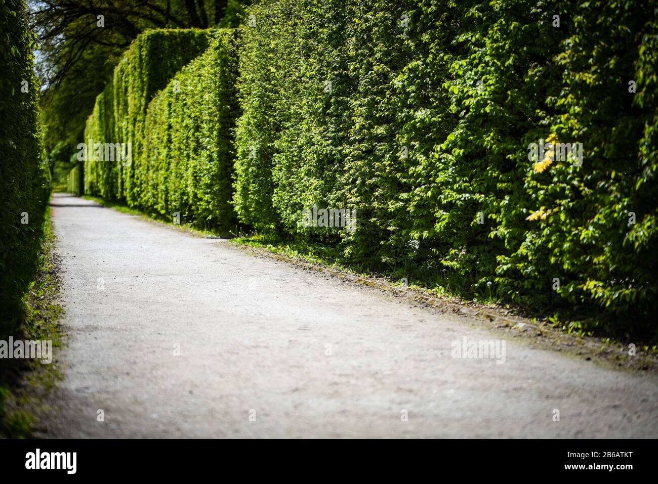 labyrinth road close up view Stock Photo