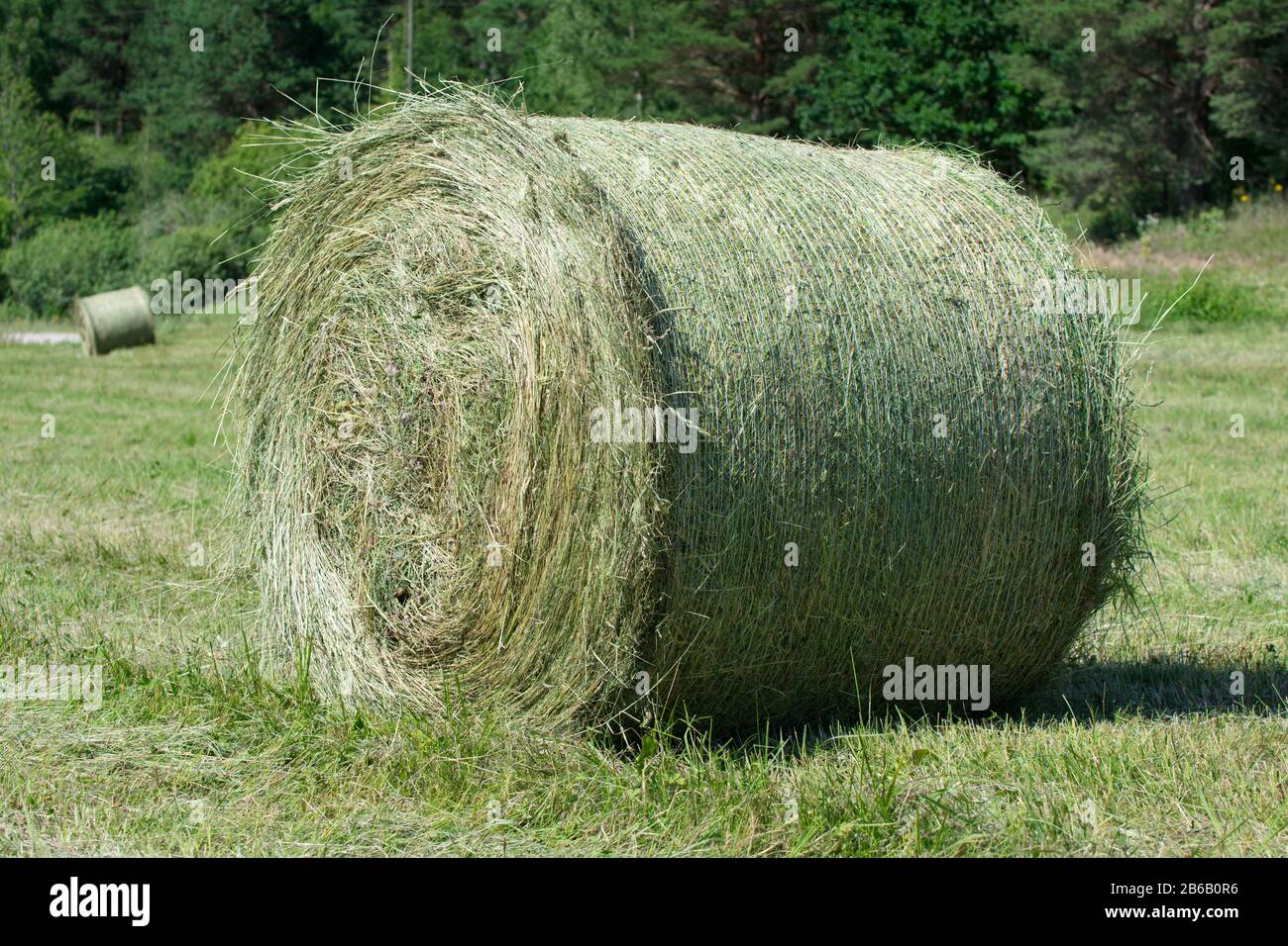 Hay bale roll hires stock photography and images Alamy