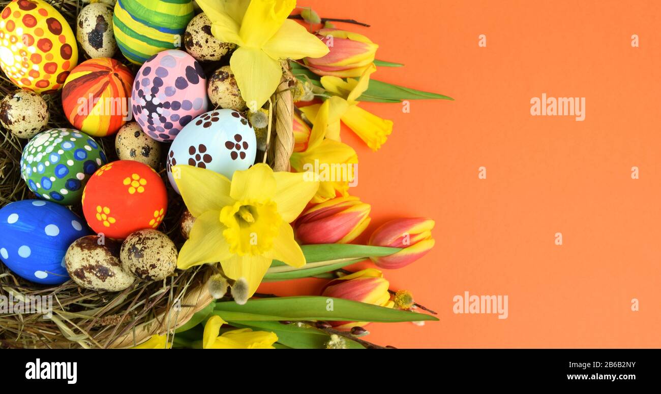 Happy Easter - painted eggs and daffodils on colored background Stock Photo