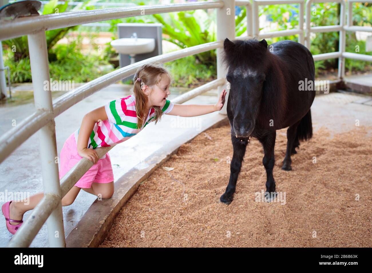 Little girl riding horse on summer vacation in country ranch. Kids learn to  ride horses. Children and animals friendship. Little child on white pony  Stock Photo - Alamy