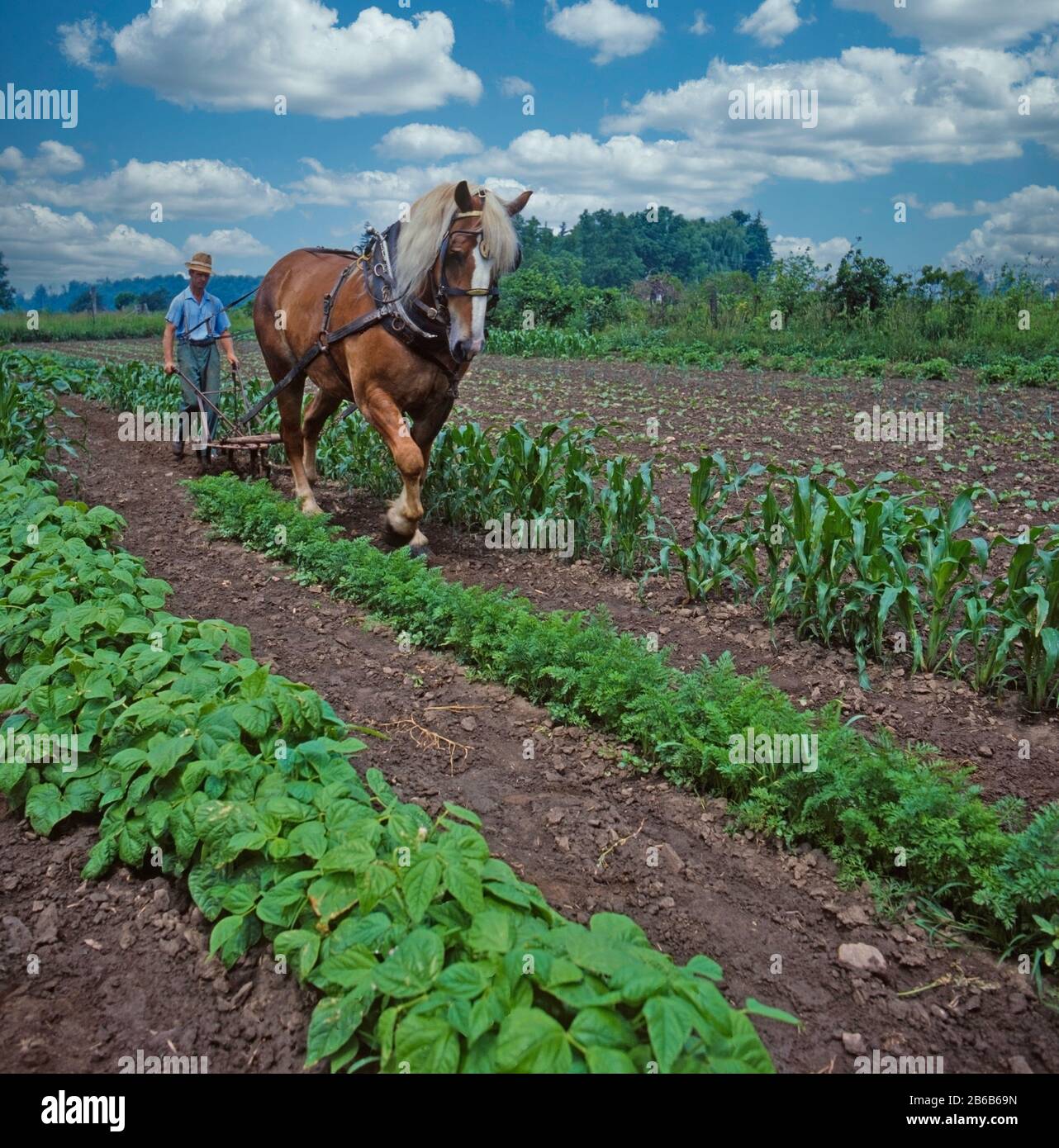 Farmer ploughing the fields Stock Photo - Alamy