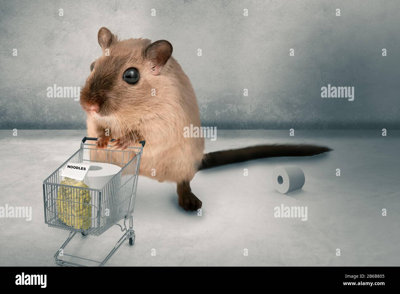 hamster buys pasta and toilet paper in panic 3D-Illustration Stock Photo