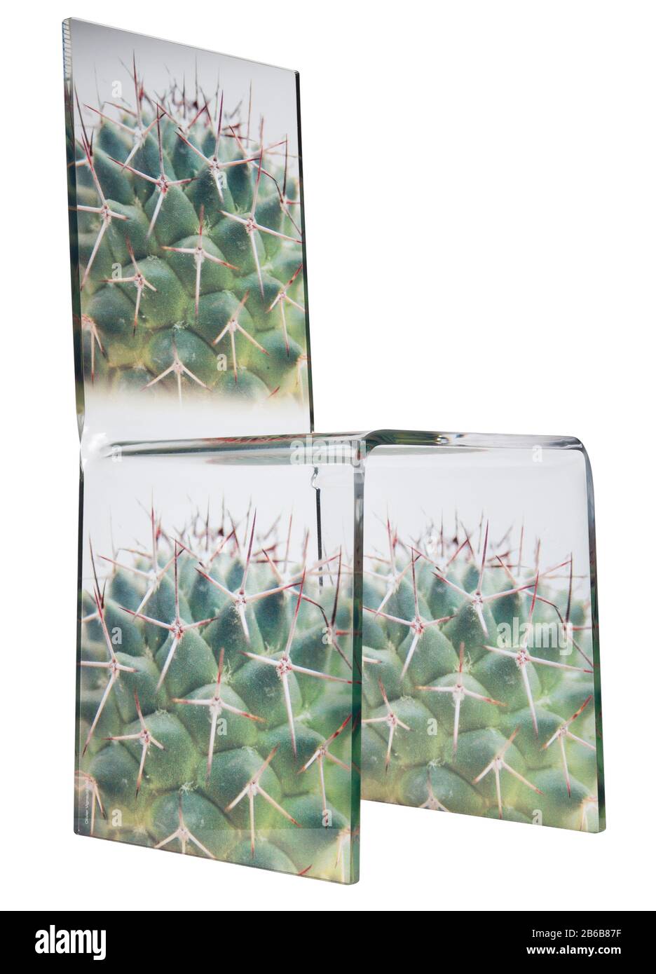 Acrylic chair with a cactus design print. Stock Photo