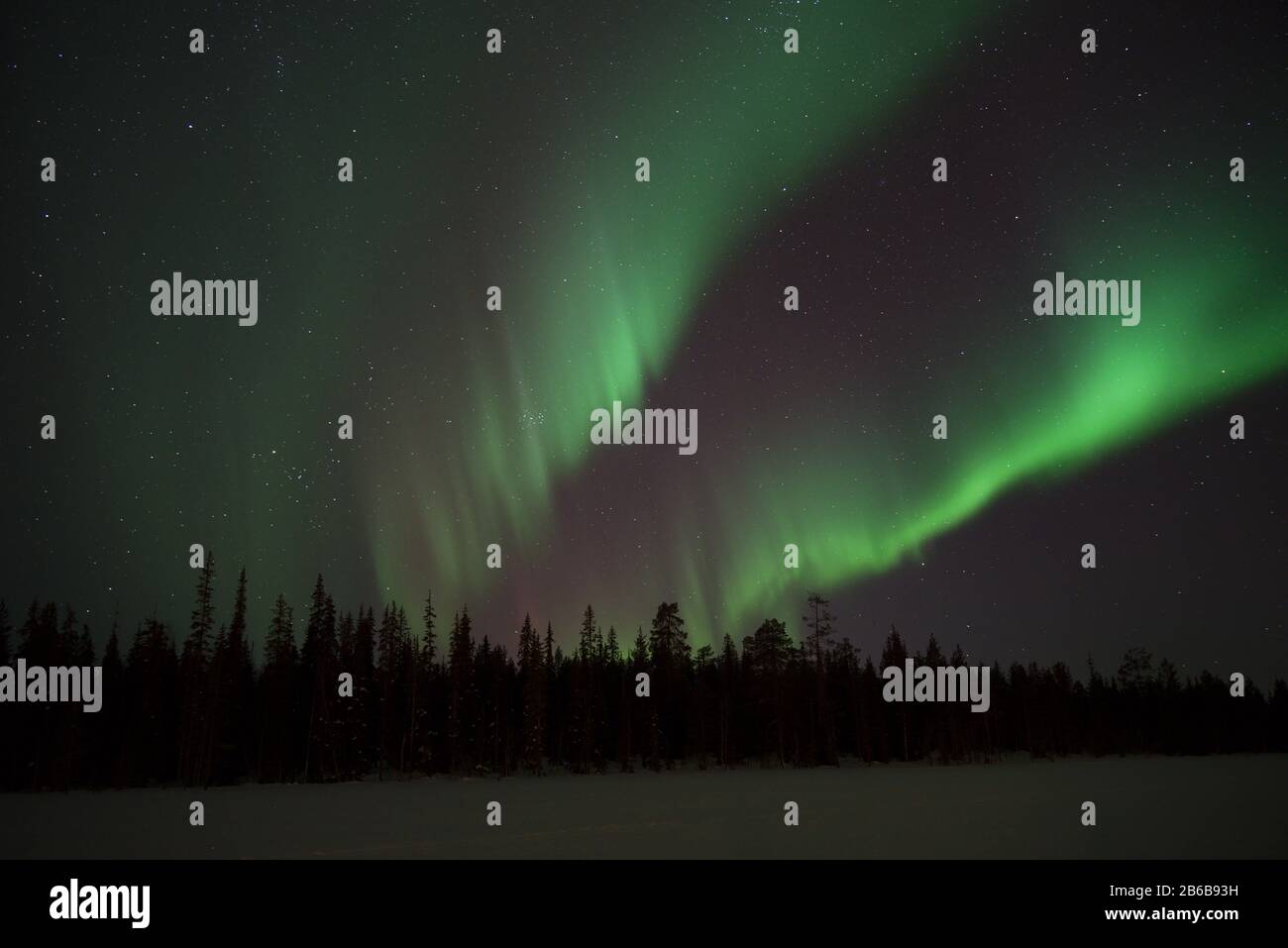 Beautiful green Northern Lights (Aurora Borealis) captured in Luosto