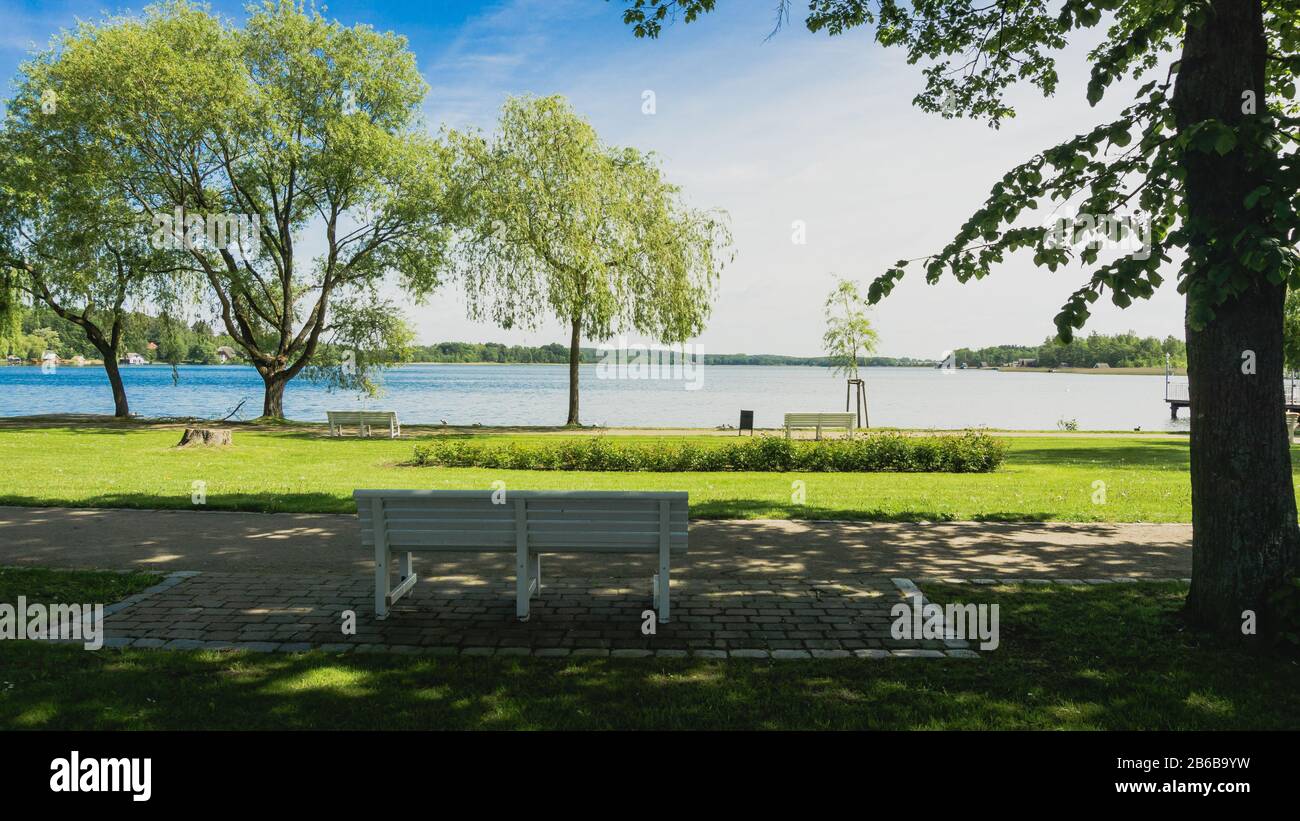park bench and view to lake Krakower See Stock Photo