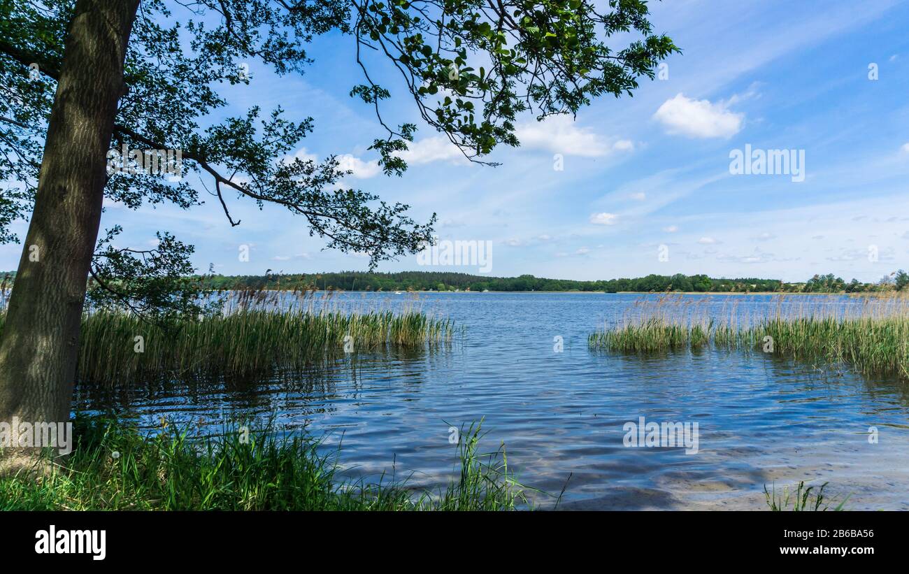 swimming spot at lake Krakower See Stock Photo
