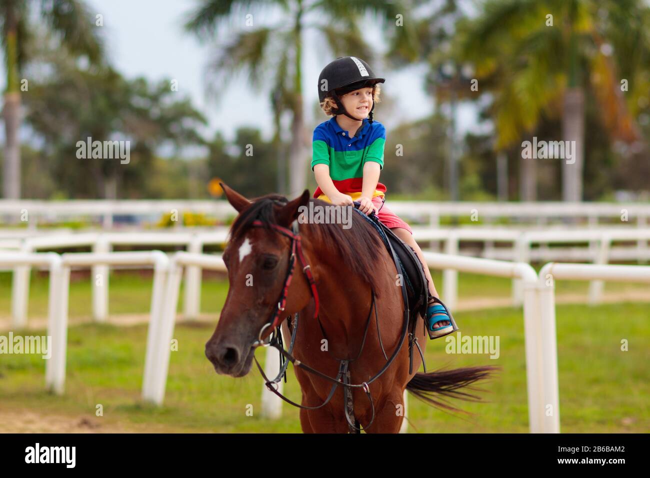 Kids ride horse. Child on pony in tropical resort. Horseback riding