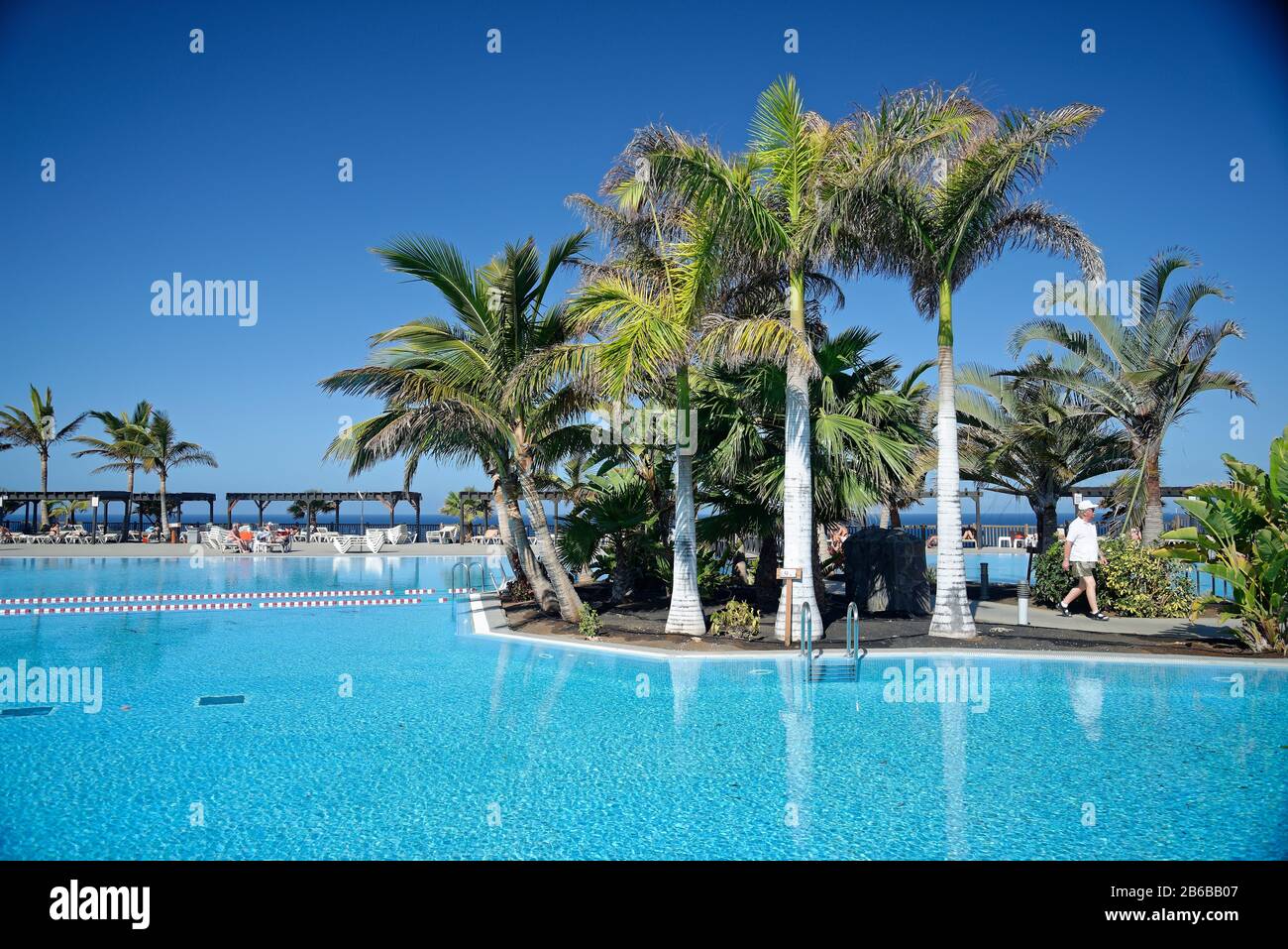 Senior man walking between swimming pools at holiday resort. Palm trees and swimming pools at hotel. Stock Photo