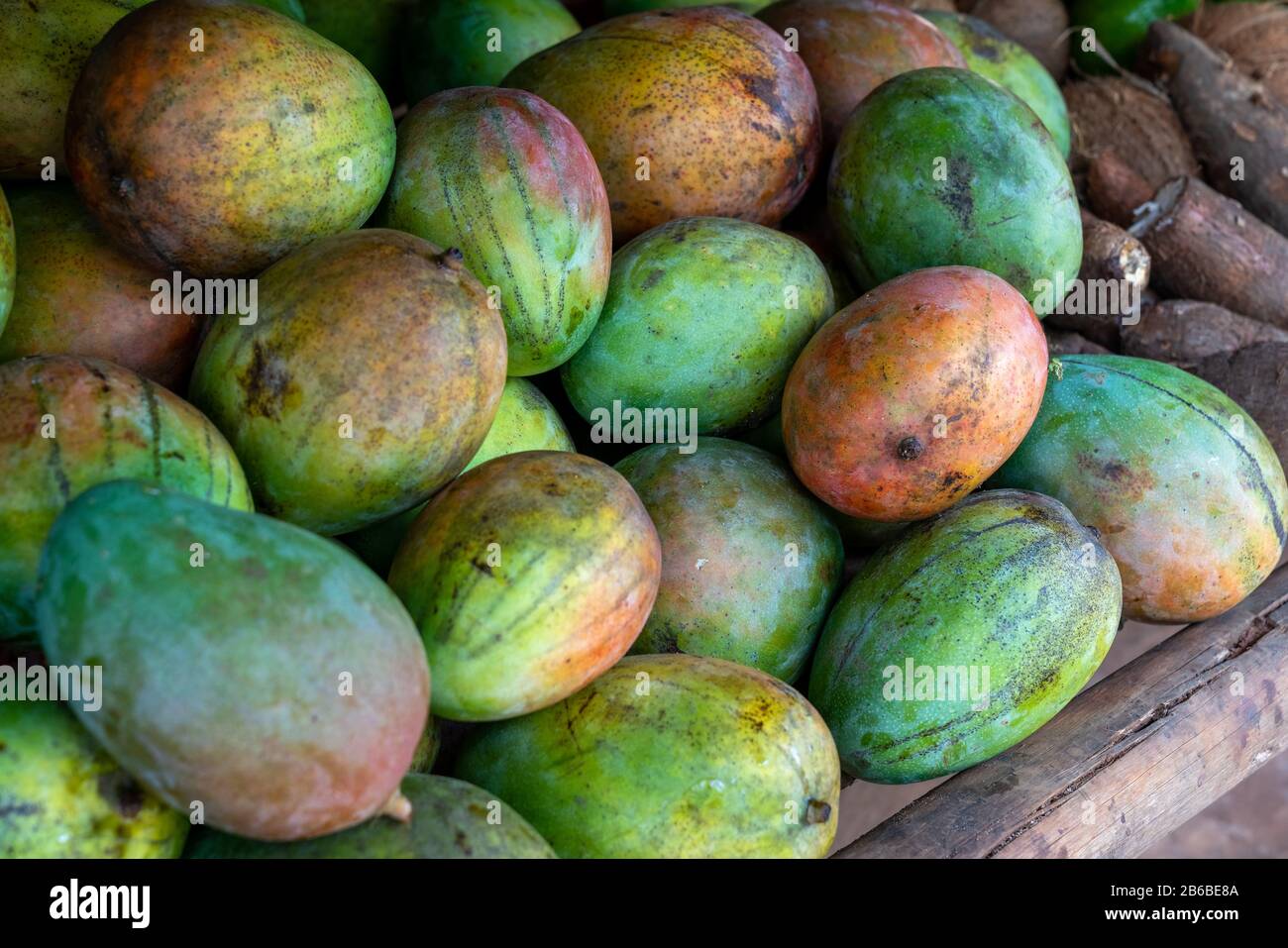 Red and green mango stack at grocery on tropical marketplace outdoor