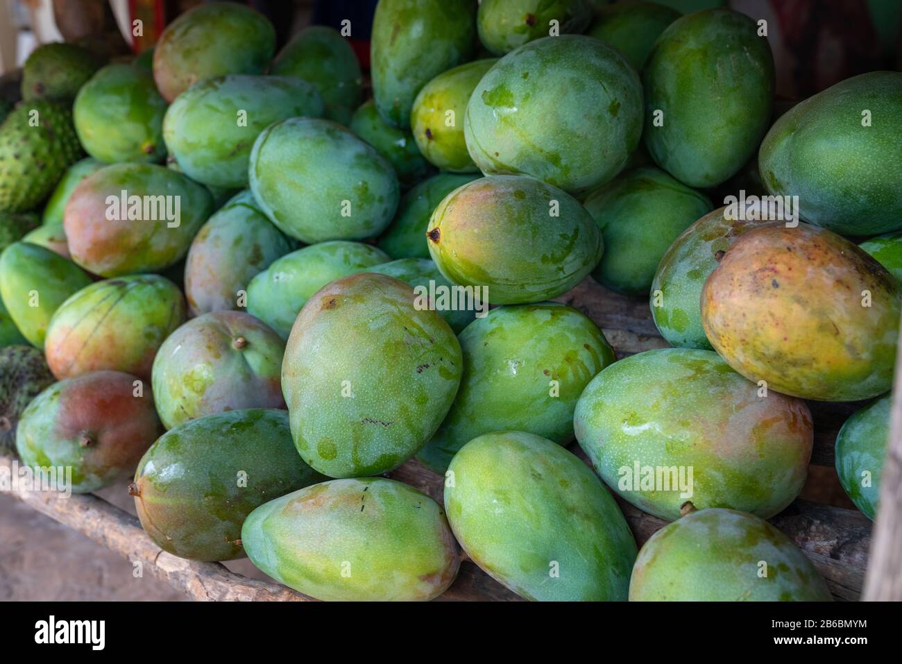 Red and green mango stack at grocery on tropical marketplace outdoor