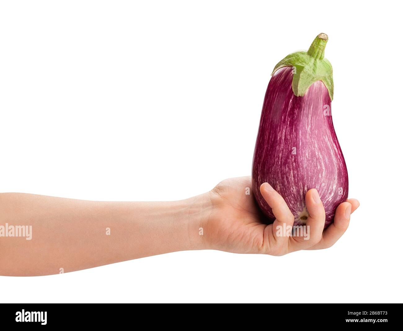 striped eggplant in hand path isolated on white Stock Photo