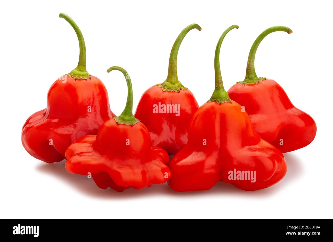 bishop's crown pepper path isolated on white Stock Photo