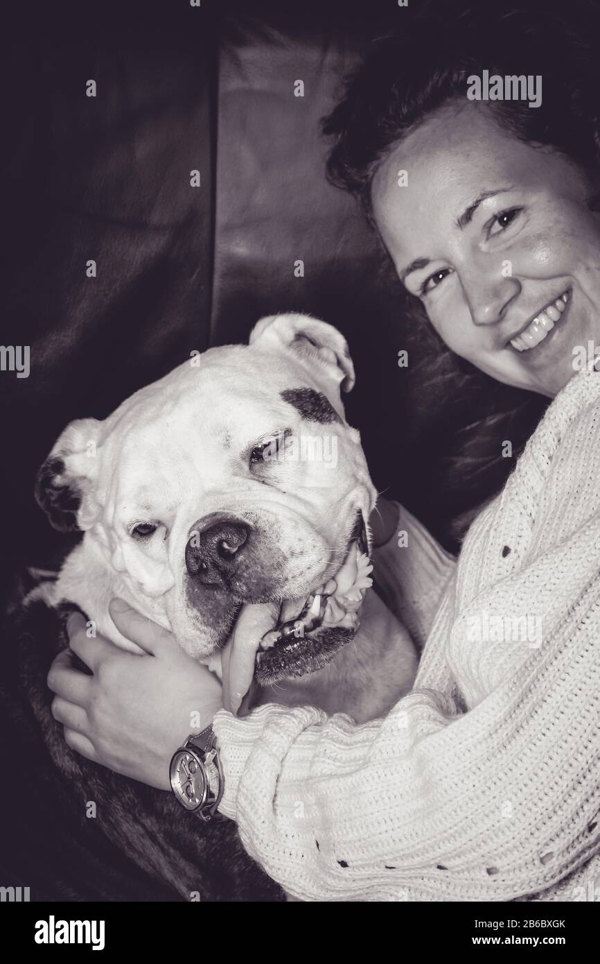 Girl holding Old English Bulldog, bulldog seems in love with the young woman Stock Photo