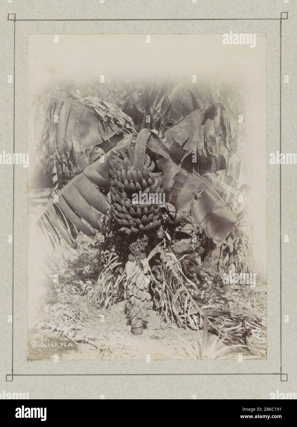 Page 2 Portugal 1900 High Resolution Stock Photography And Images Alamy