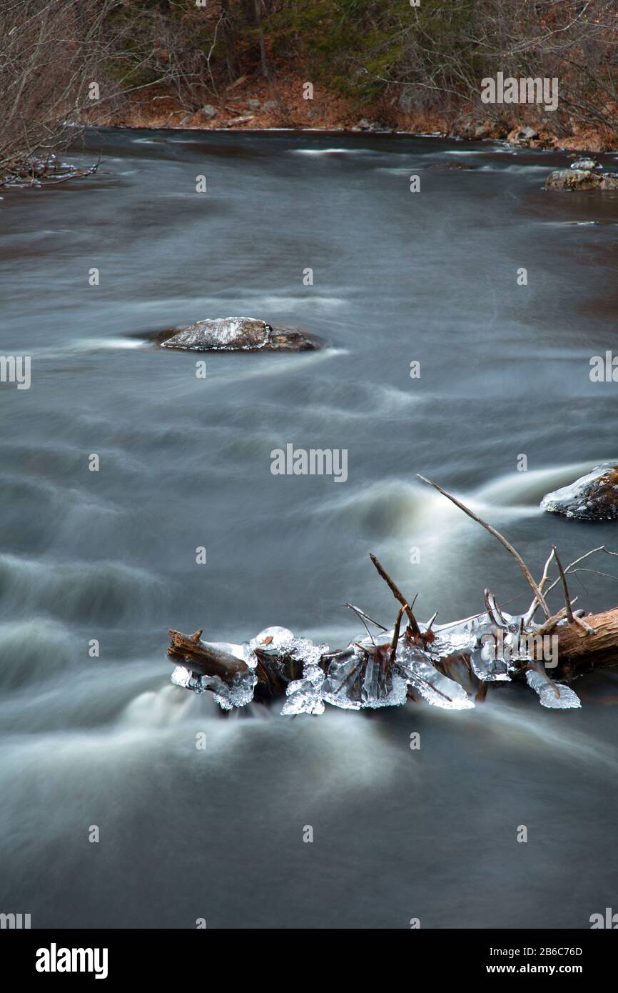 Log with ice in West Fork Farmington River, Farmington Wild and Scenic River, Connecticut Stock Photo