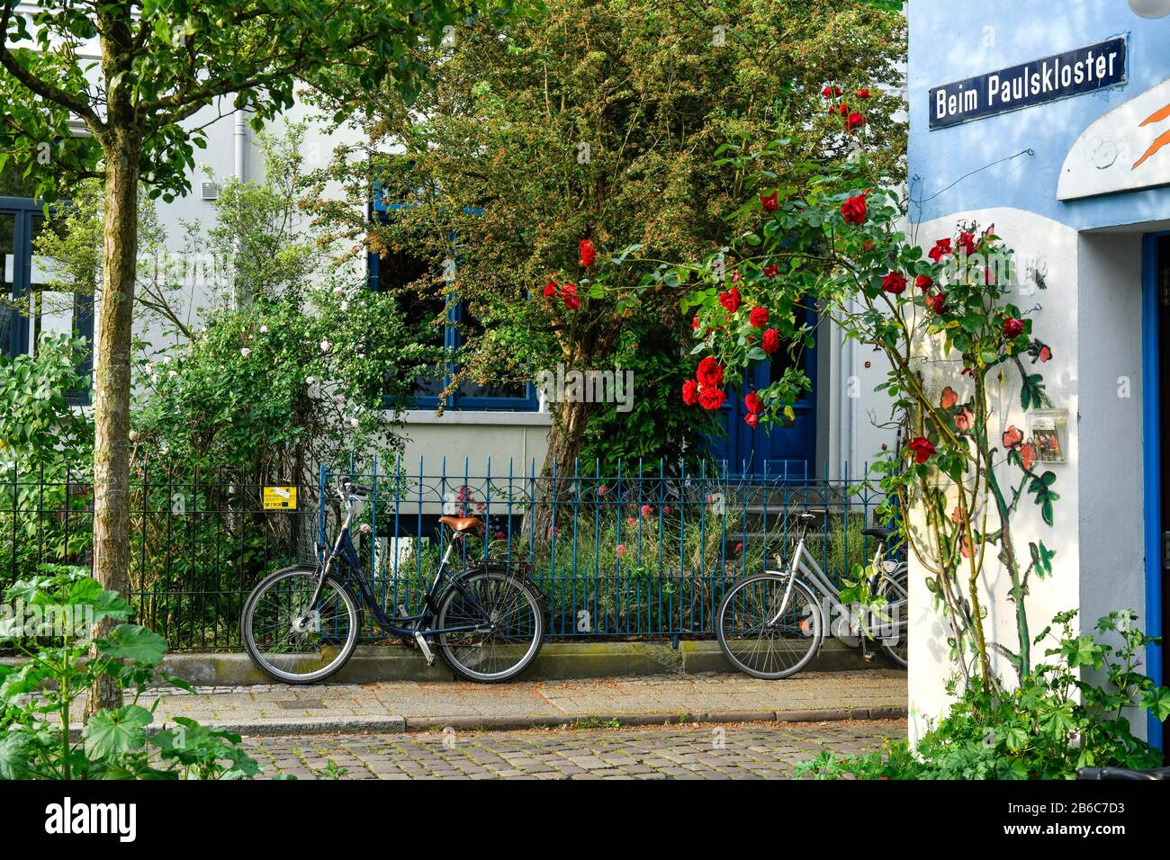 Altbau, Kletterrose, Beim Paulskloster, Ostertor, Bremen, Deutschland Stock Photo