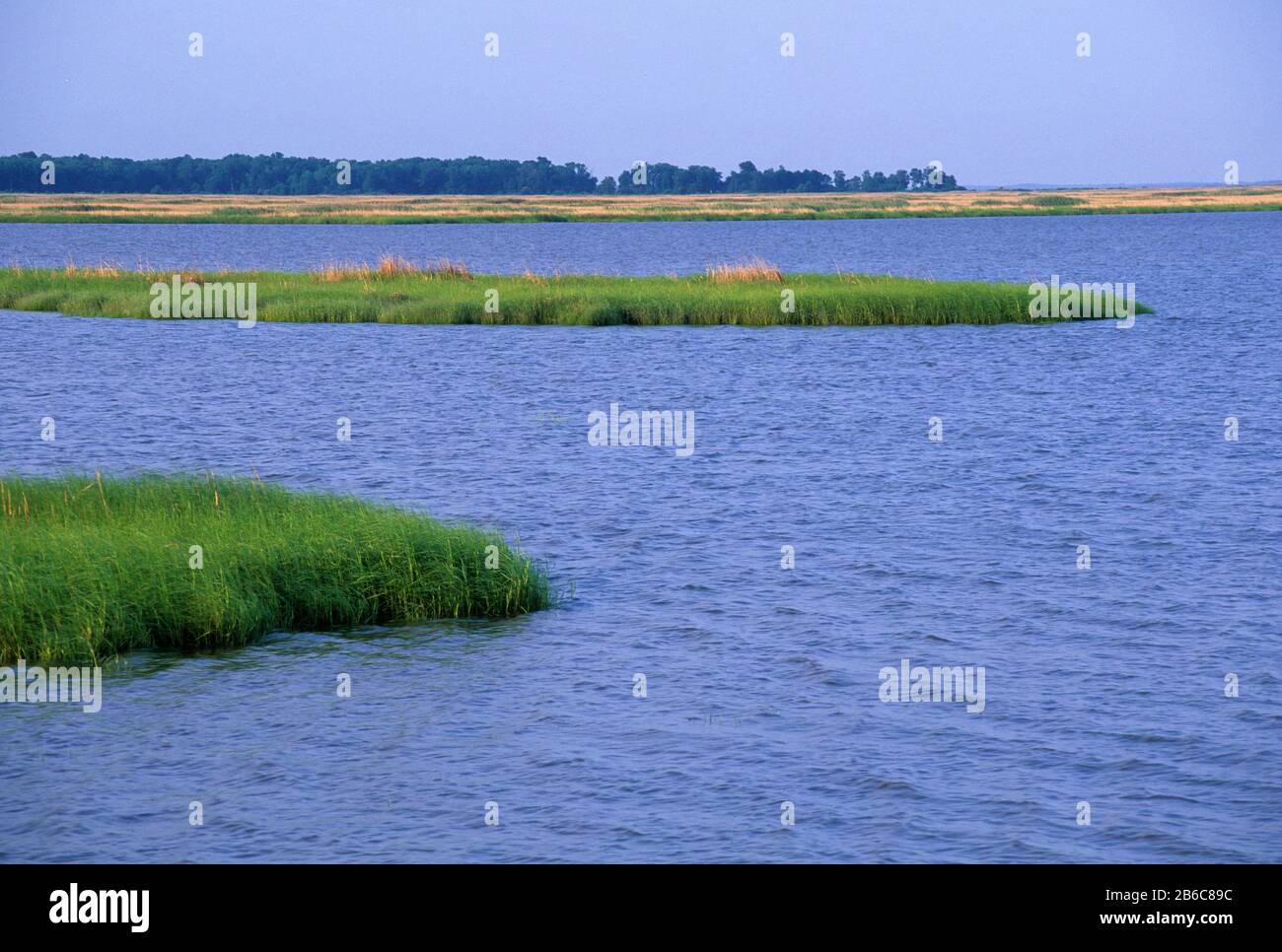 Open water marsh, Bombay Hook National Wildlife Refuge, Delaware Stock ...