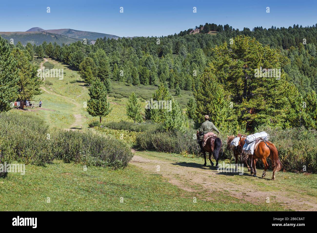 Man mountain guide travel on the horse with cargo at hiking tour route. Stock Photo