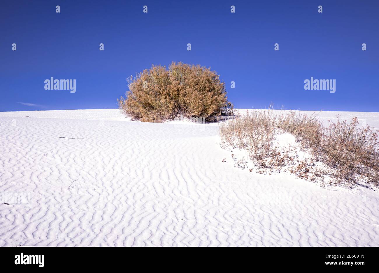 White Sands National Monument and National Park and waves and wind blown white gypsum sands Stock Photo