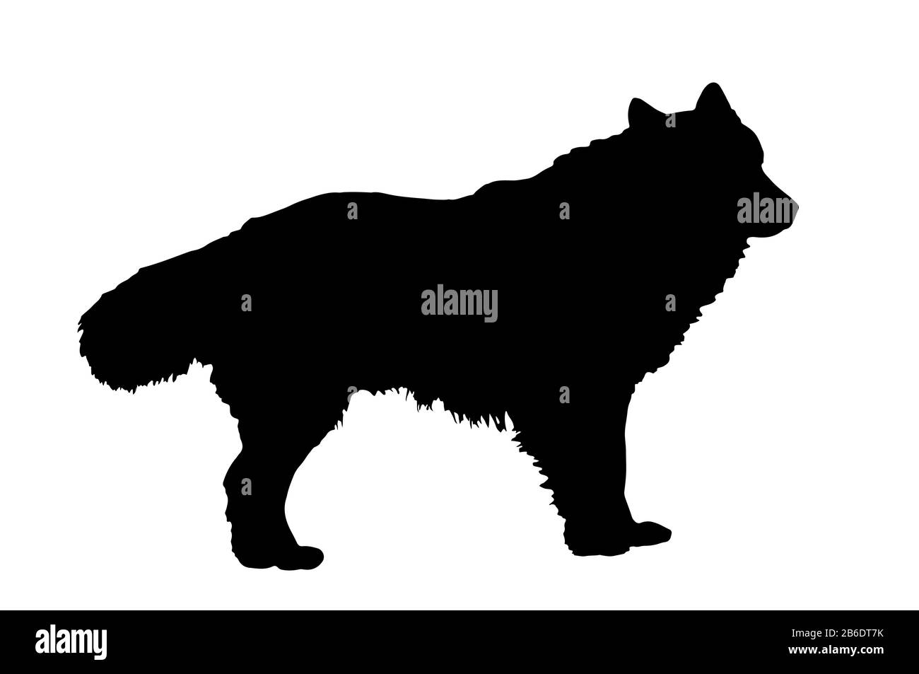vector illustration of black dog, simple style Stock Photo