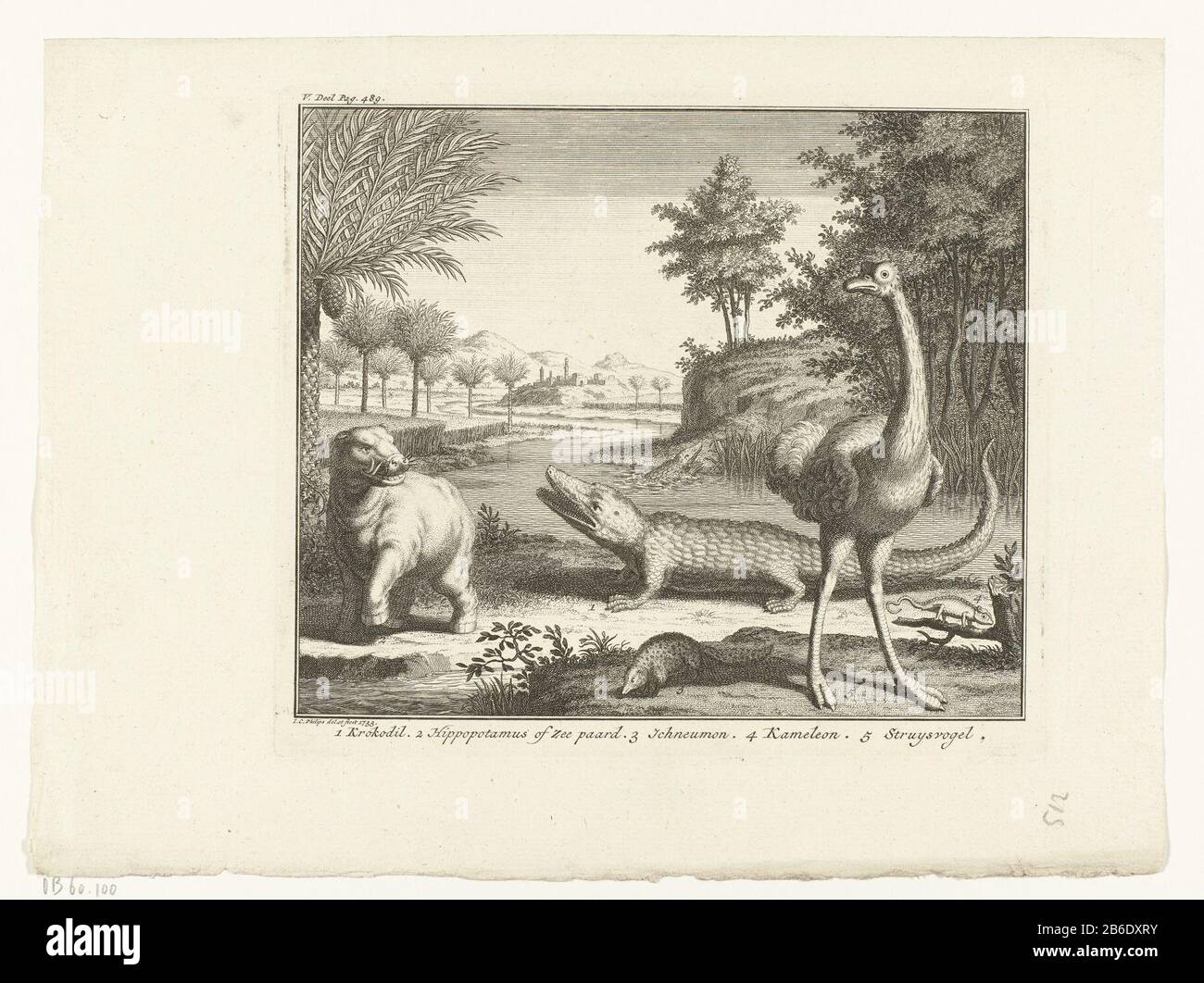 Page with various species RP-P-OB-60100 Landscape with animals found in Egypt. In each figure to the legend verwijst. Manufacturer : printmaker Jan Caspar Philips (listed building) in its design: Jan Caspar Philips (listed property) Place manufacture: Amsterdam Date: 1733 Physical features: etching and engra material: paper Technique: etching / engra (printing process) Measurements: plate edge: h 175 mm × W 202 mmToelichtingPrent used as an illustration in: Salmon, Thomas. Modern State history, or Present state of all nations (...). V. part. Behelzende (...) the Turkish empire in Asia and Afri Stock Photo