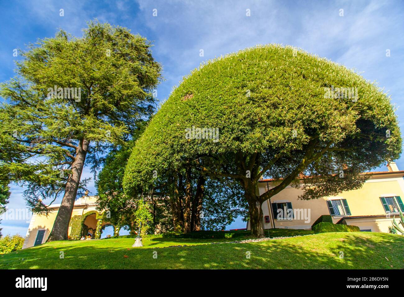 Villa del Balbianello garden and its big trees, Lake Como, Lombardy, Italy Stock Photo