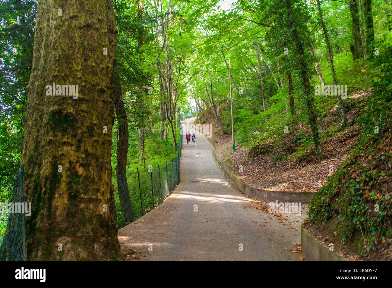 The road into the forest to Villa al Balbianello, Lenno, Lombardy, Italy Stock Photo