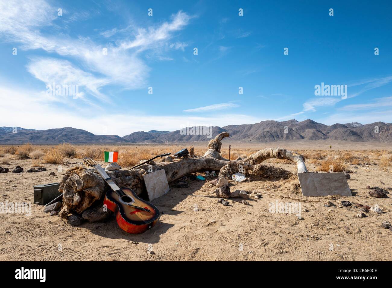 Remains of the Joshua Tree used by U2 for the album of the same name, near Death Valley National Park, California, USA Stock Photo