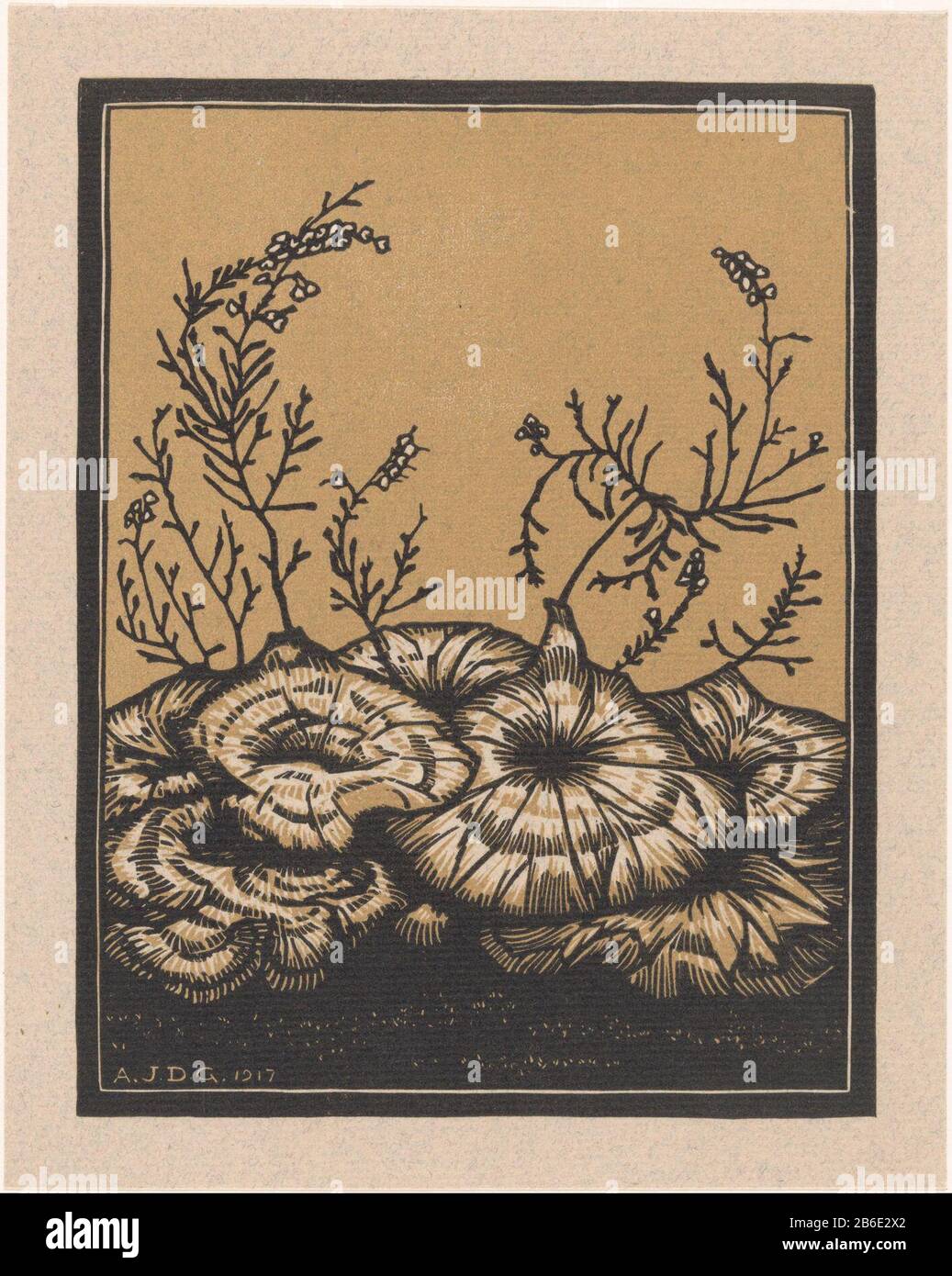 Flowering Plants Flowering Plants Object Type Picture Item Number Rp P 1927 356 Inscriptions Brands Collector S Mark Verso Stamped Lugt 2228 Manufacturer Printmaker Julie The Like Listed Building Dated 1917 Physical Features Woodcut