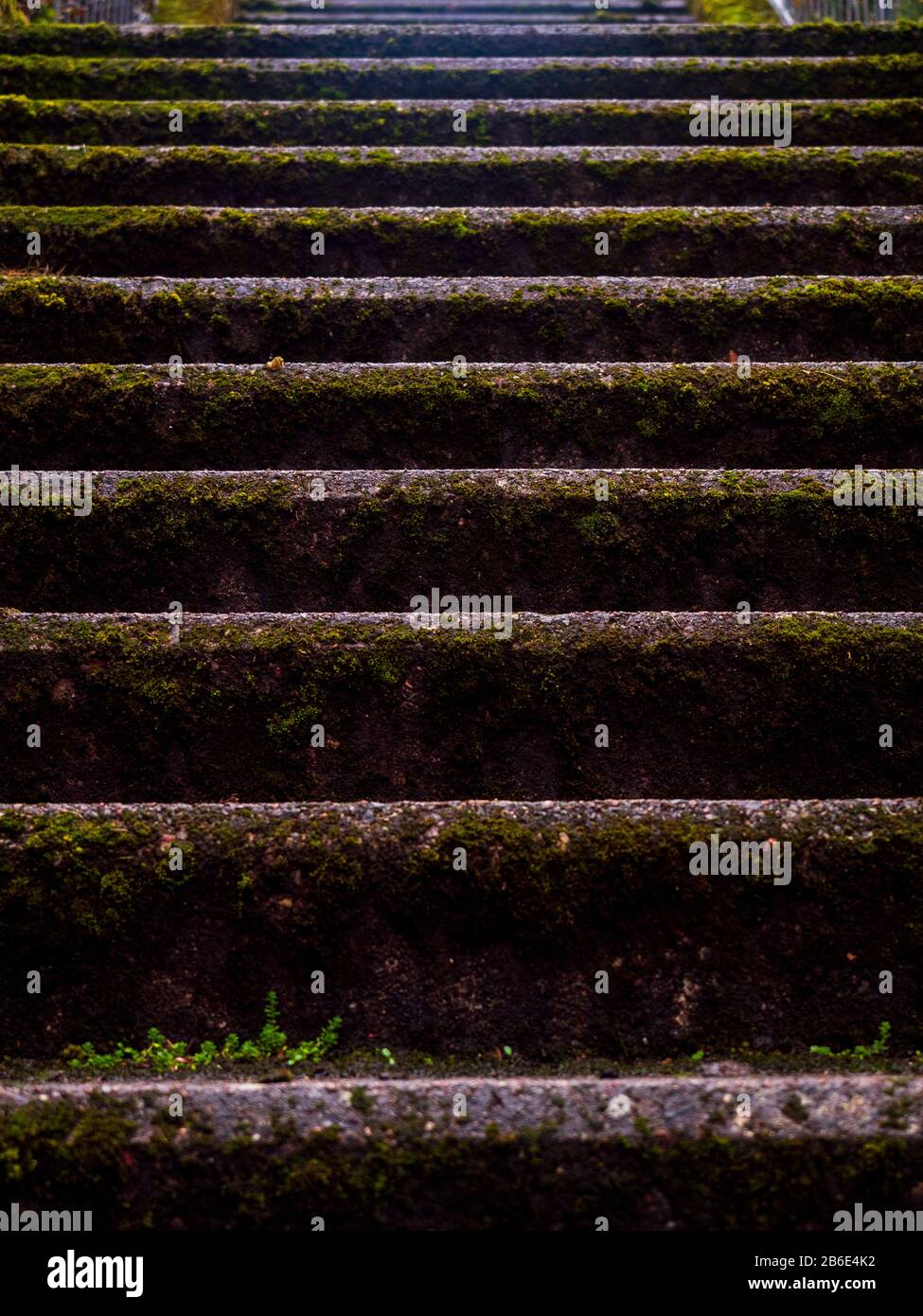 mossy outdoor staircase, Inverness, Scotland, UK Stock Photo