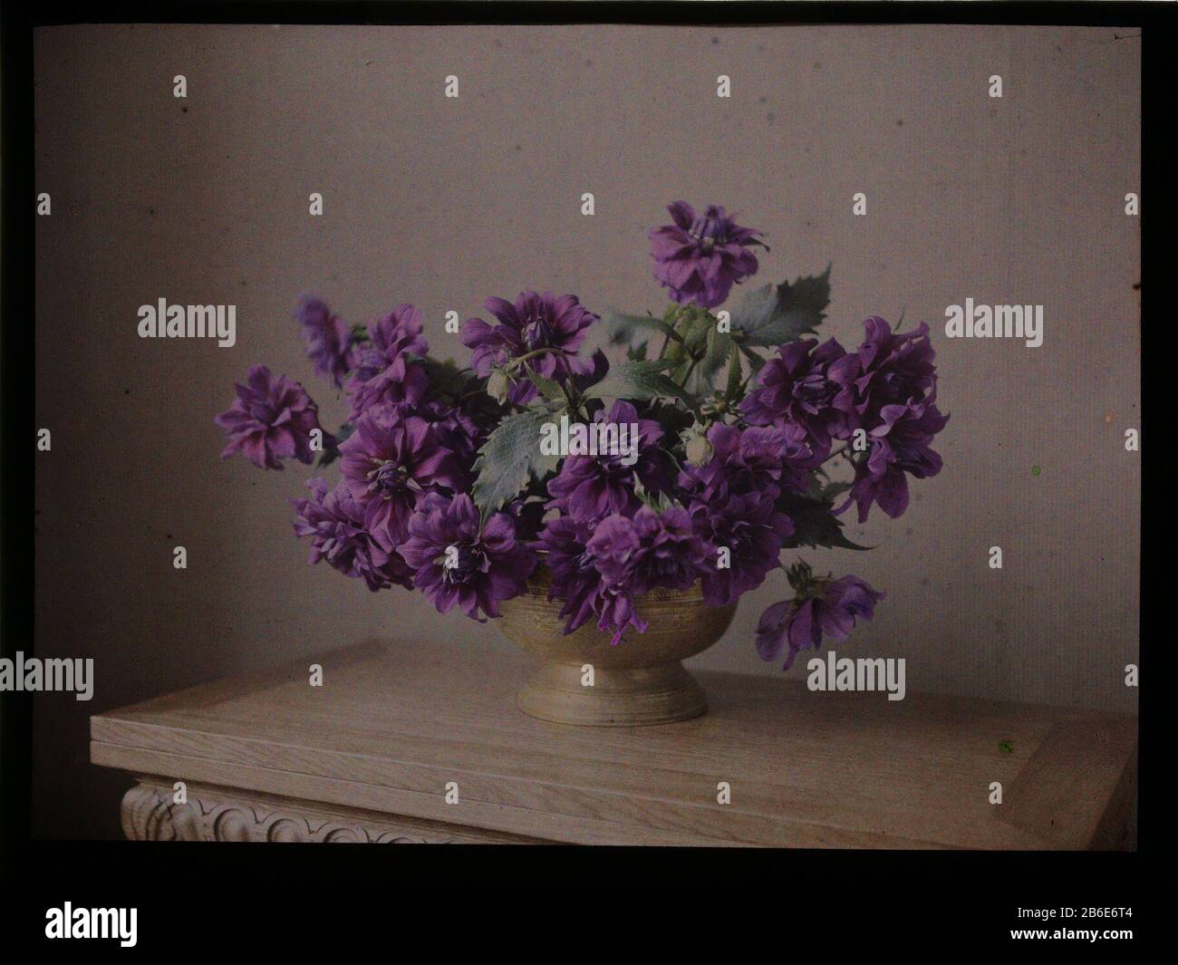 Flower arrangement Flower Property Type: photographs Item number: RP-F 2014-7-1-2 Manufacturer : Photographer: anonymous place manufacture: Netherlands Date: ca. 1907 - ca. 1935 Physical features: car chrome material: Glass Technique: car chrome Dimensions: H 90 mm b × 120 mm Subject: cut flowers; nosegay, bunch of flowers flowers in a vase Stock Photo