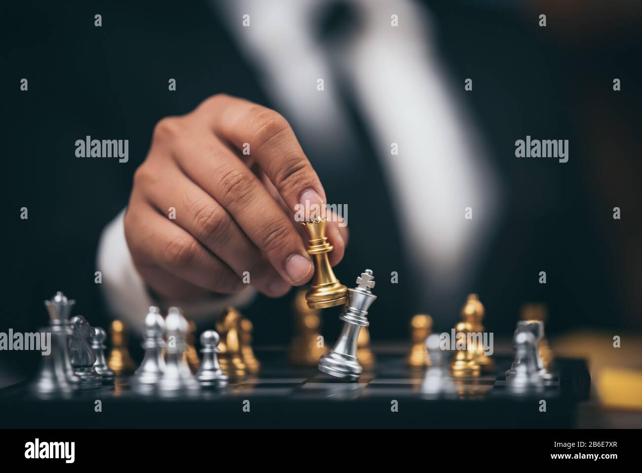 The king in chess The king in chess