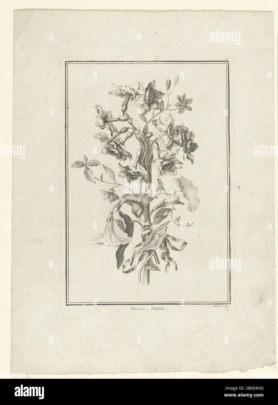 Bouquet of narcissus and IDE Narcisse, Volubilis (title object) IIe Cahier  the Bouquets (series title) Flowers are together tied with a ribbon. Top  right, the letter A. Manufacturer : printmaker Jean Jacques