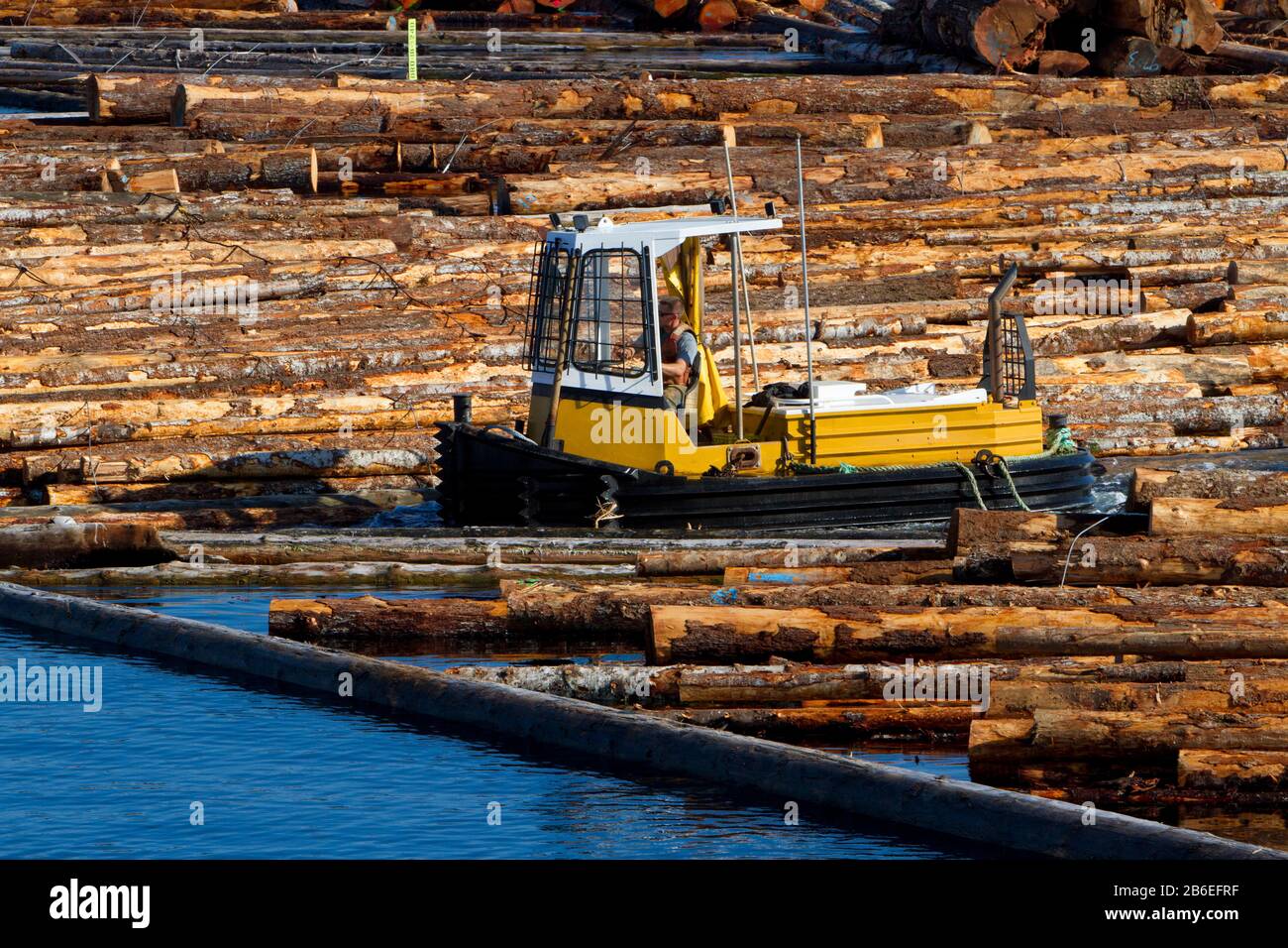 Boom boat working with log booms near Harmac Pacific Pulp Mill, Nanaimo