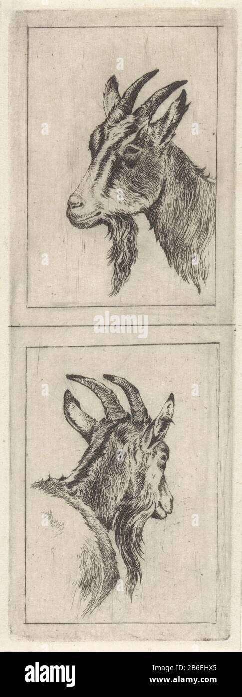 Bokkenkop head of a goat to the left and below head of a goat to the right, seen from behind. Edited more than previous state. With the randlijnen. Manufacturer : print maker: Pieter Janson Date: 1780 - 1851 Physical characteristics: etching material: paper Technique: etching dimensions: plate edge: H 141 mm × b 49 mm Subject: he-goat, Billy-goat (+ male animal) Stock Photo