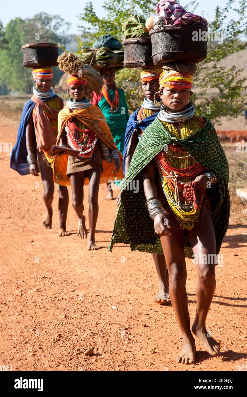 Bonda tribal women walking to market with baskets on their heads, Onukudelli, Orissa, India Stock Photo