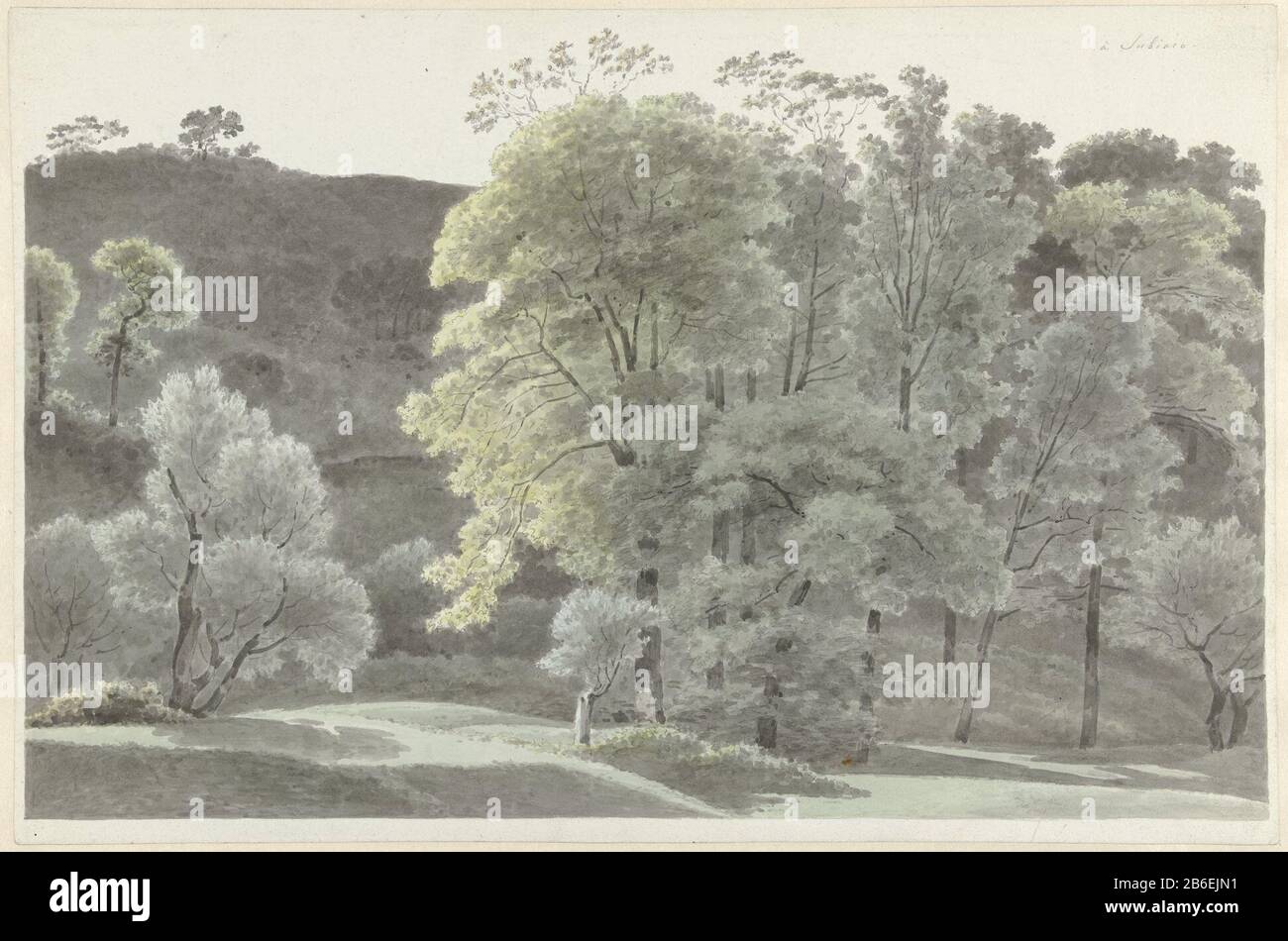 Trees Near Subiaco Trees Near Subiaco Object Type Drawing Watercolor Item Number Rp T 1940 638 Inscriptions Brands Annotation Right A Subiaco Manufacturer Artist Joseph August Knip Dated 1778 1847 Physical
