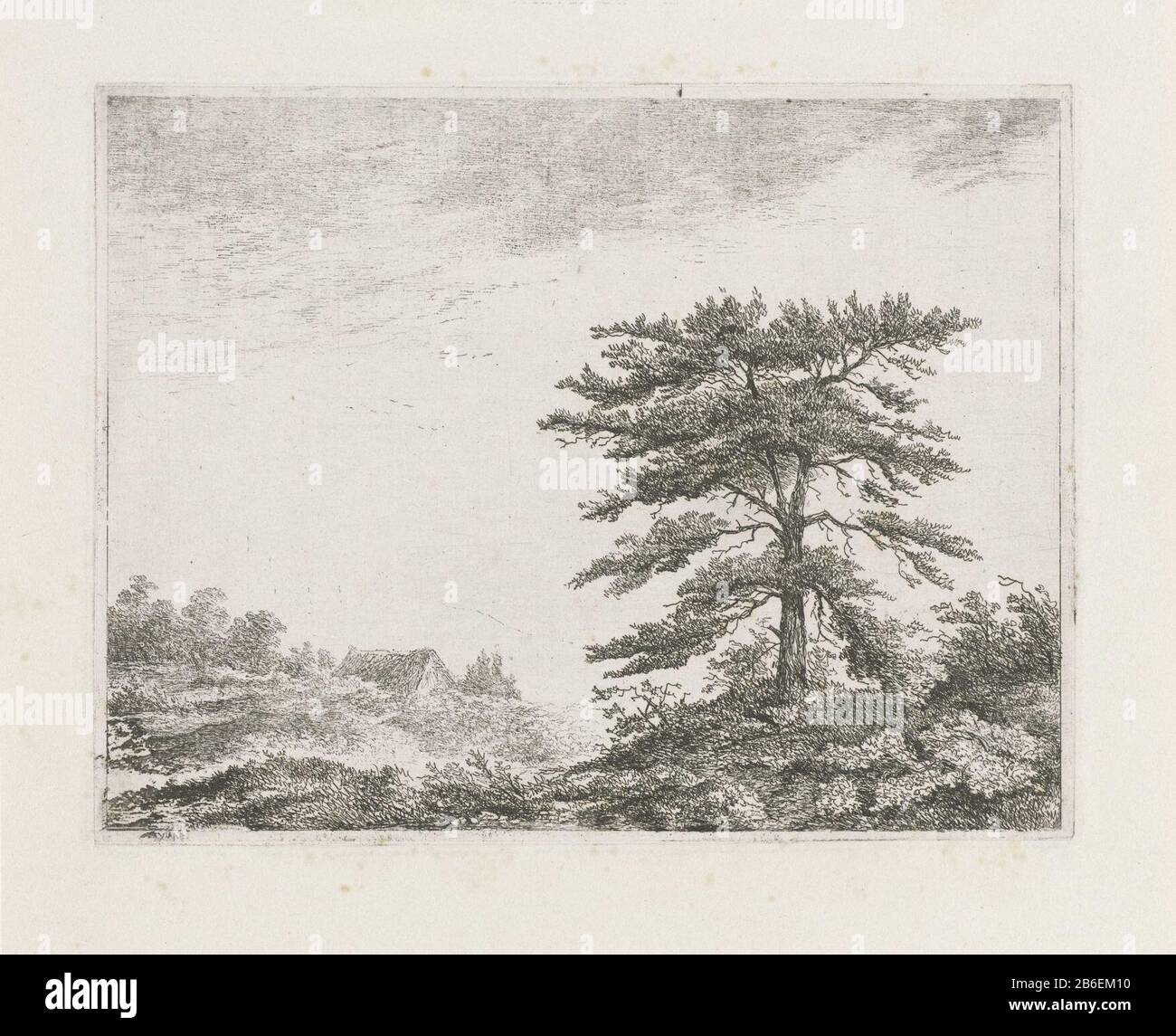 Tree in a heath a tree in a hilly moorland. Left the roof of a huis. Manufacturer : printmaker Christiaan Wilhelmus Moorrees (listed building) in its design: Christiaan Wilhelmus Moorrees manufacture Place: Netherlands Date: 1811 - 1867 Physical features: etching on chine collé; proofing material: paper chine collé Technique: etching Dimensions: plate edge: H 126 mm × W 163 mm Subject: shrubs: broom tree Stock Photo