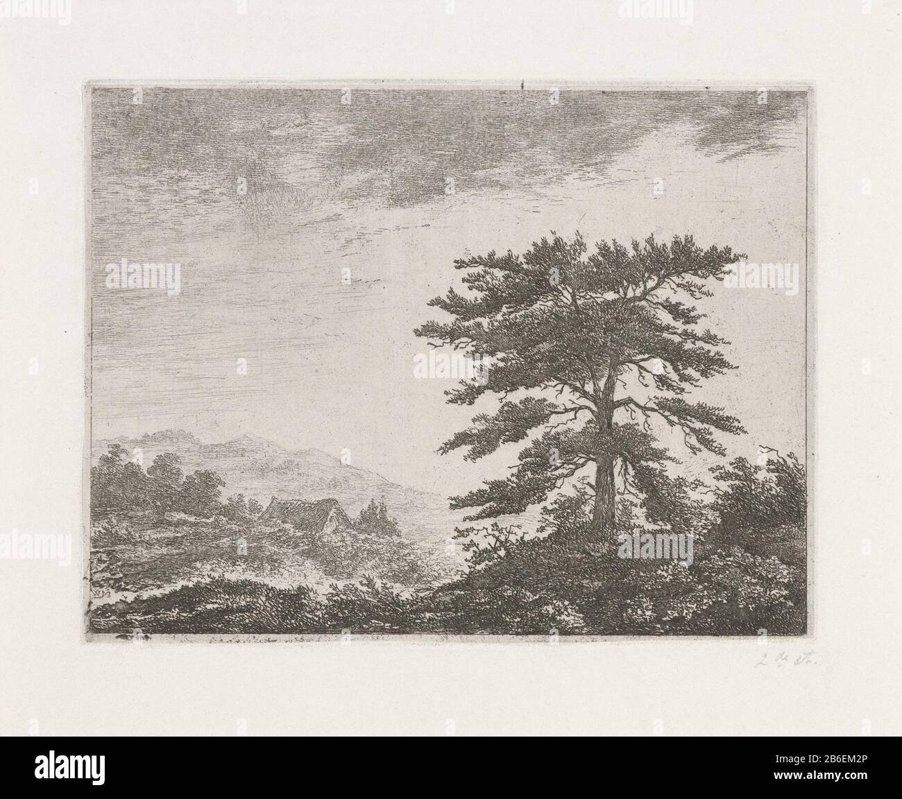 Tree in a heath a tree in a hilly moorland. Left the roof of a huis. Manufacturer : printmaker Christiaan Wilhelmus Moorrees (listed building) in its design: Christiaan Wilhelmus Moorrees Place manufacture: Netherlands Date: 1811 - 1867 Physical features: etching on chine collé Material: paper chine collé Technique: etching Dimensions: plate edge: h 126 mm × W 163 mm Subject: shrubs: broom tree Stock Photo