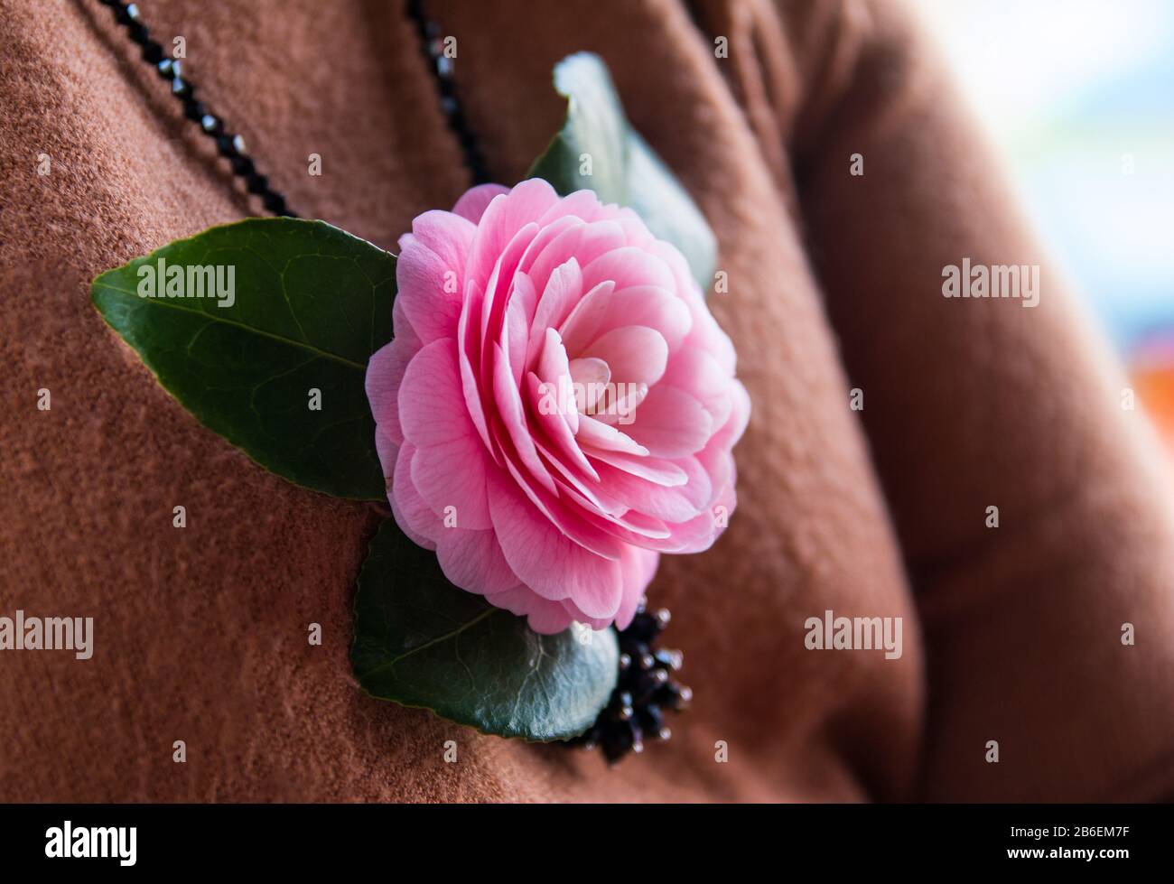 pink flower sweater