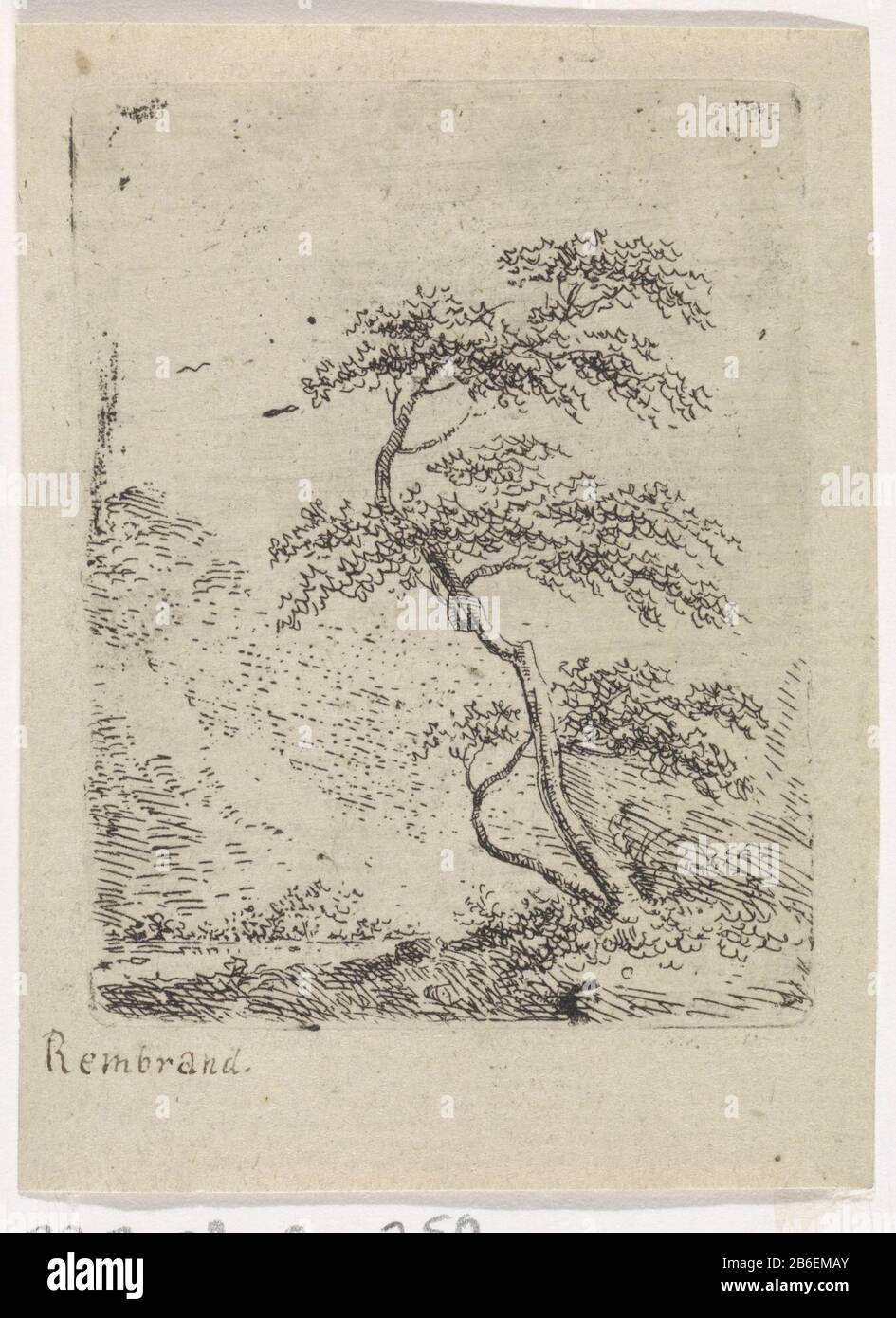 Boom Tree Object Type Picture Item Number Rp P Ob 24 250