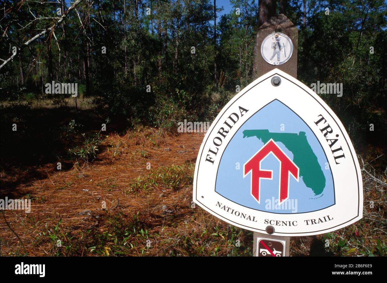 Florida National Scenic Trail sign, Ocala National Forest, Florida Stock Photo