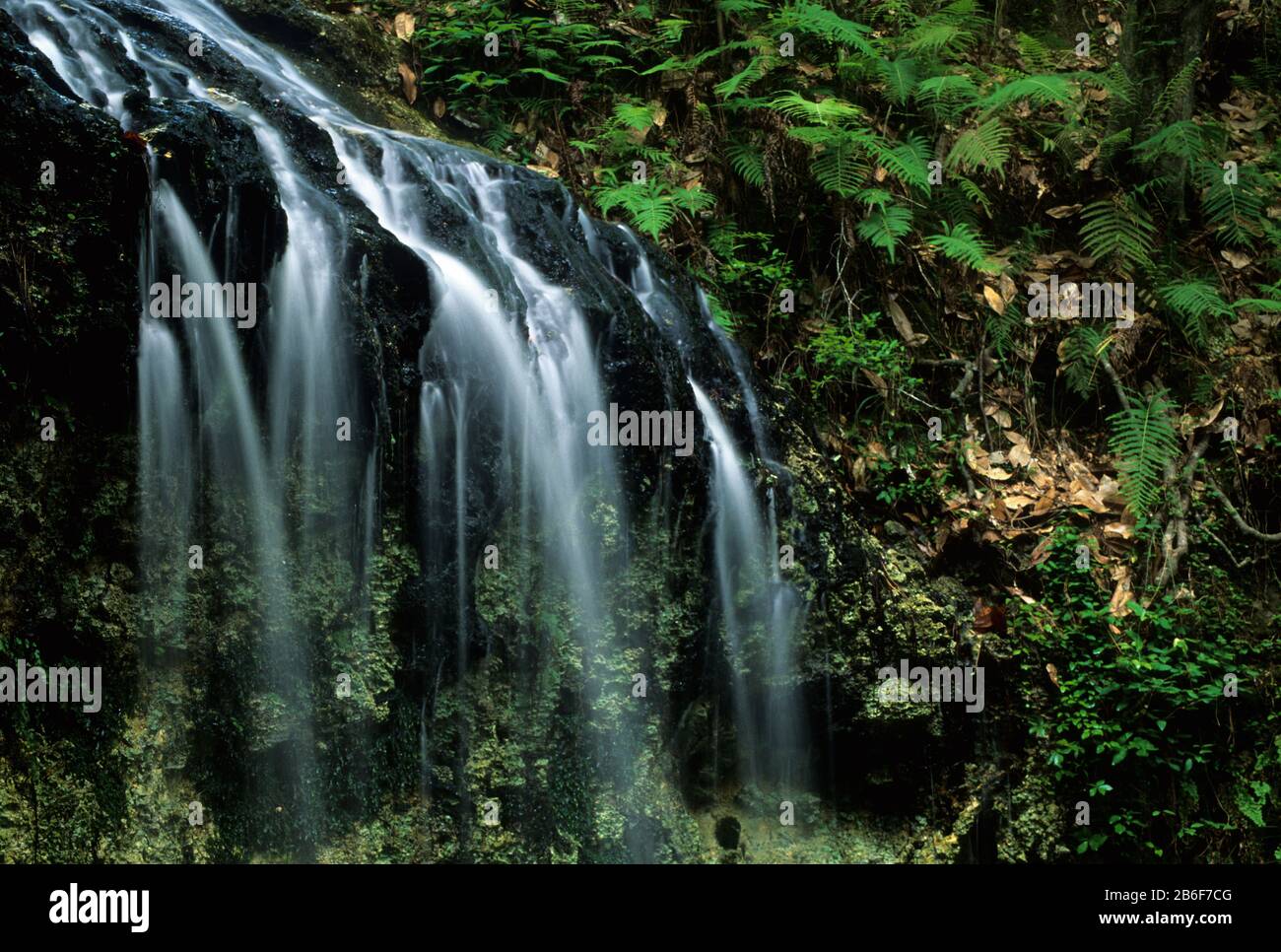 Falling Waters, Falling Waters State Park, Florida Stock Photo - Alamy